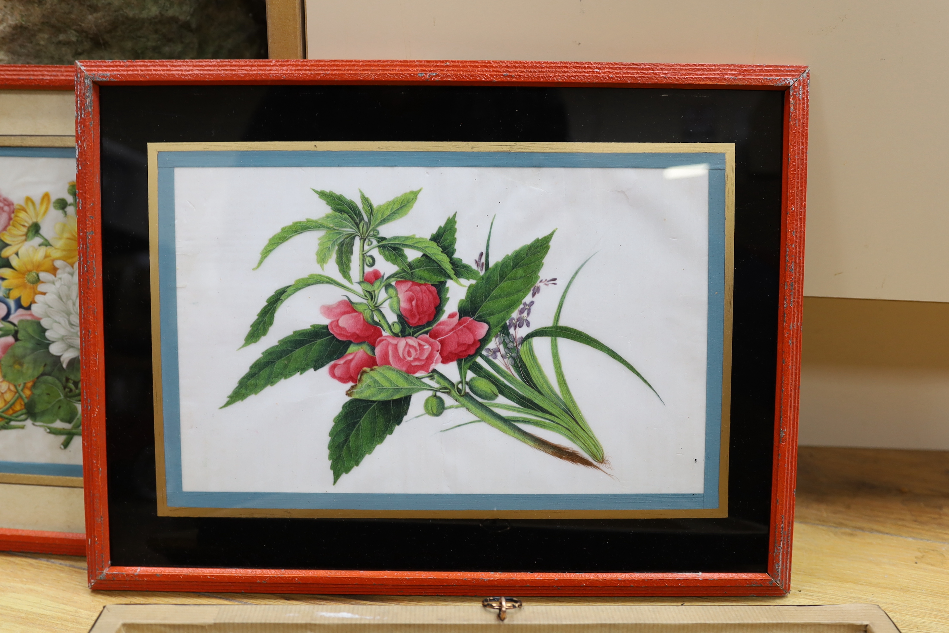 Chinese School, three gouaches on pith paper, Flowers and butterflies, 16 x 26cm